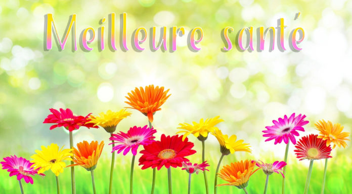 Qui a droit à la carte Navigo gratuite ? Qui a droit à la carte Navigo gratuite ?