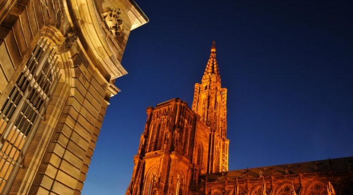 Qui est la famille Zouari ? Qui est la famille Zouari ?