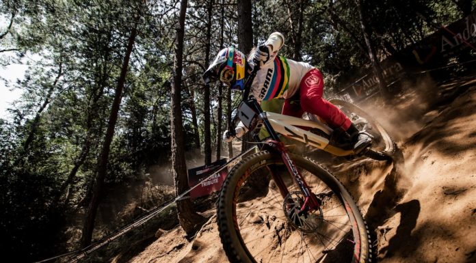 Qui fait preuve de pitié ? Qui fait preuve de pitié ?