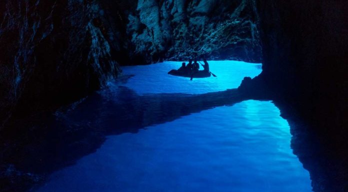 Should I go to Hvar or Brac? Should I go to Hvar or Brac?