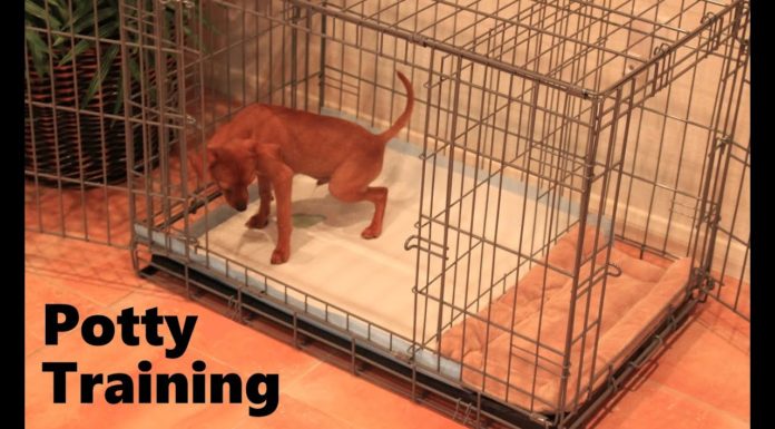 Should I go to Ushuaia? Should I go to Ushuaia?