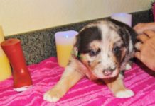 Should you say please ordering? Should you say please ordering?