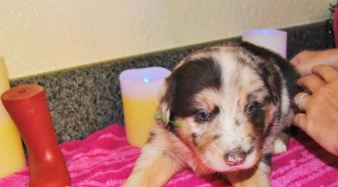 Should you say please ordering? Should you say please ordering?