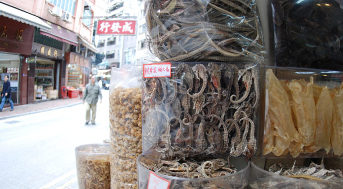 Until when is the winter in Hong Kong? Until when is the winter in Hong Kong?