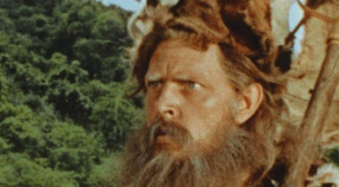 Was Robinson Crusoe alone on the island? Was Robinson Crusoe alone on the island?