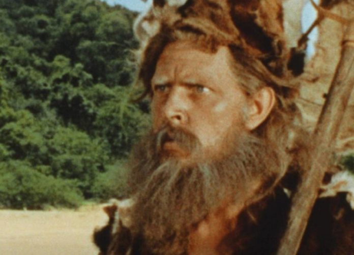 Was Robinson Crusoe alone on the island?