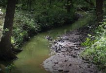 What 5 states have no national parks? What 5 states have no national parks?