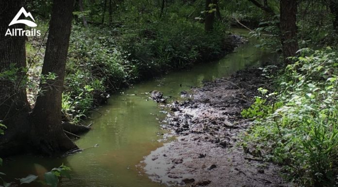 What 5 states have no national parks? What 5 states have no national parks?