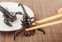 What Thai food can vegans eat? What Thai food can vegans eat?