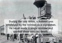 What are 3 fun facts about Nicaragua? What are 3 fun facts about Nicaragua?