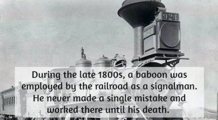 What are 3 fun facts about Nicaragua? What are 3 fun facts about Nicaragua?