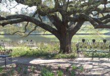 What are the five national parks in Louisiana? What are the five national parks in Louisiana?