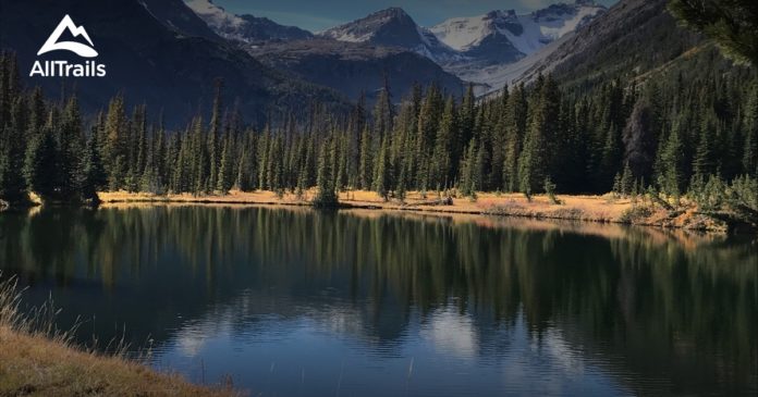 What are the three highest mountains in NZ?