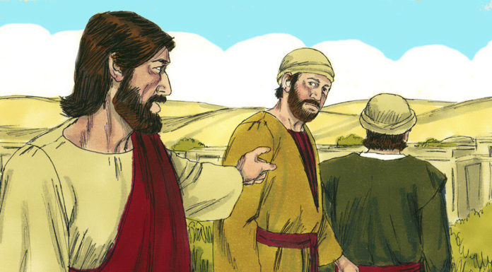 What can you not bring into Iceland? What can you not bring into Iceland?