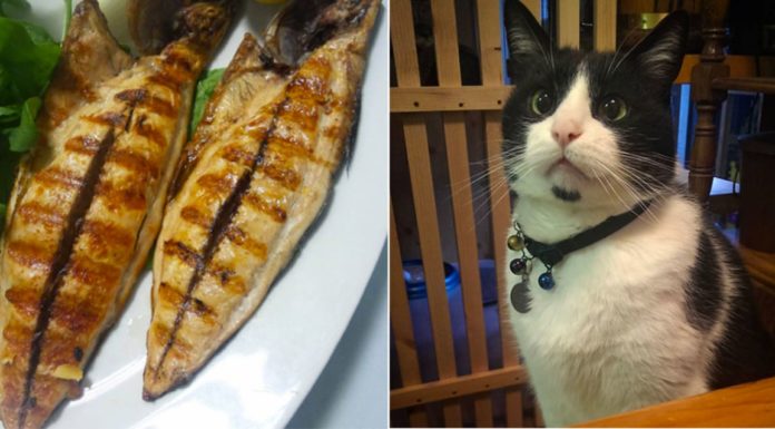 What can’t you do in Japan? What can't you do in Japan?