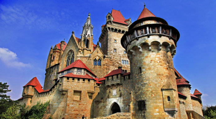 What castle inspired the Disney castle? What castle inspired the Disney castle?