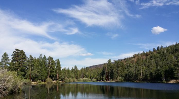 What cities in Oregon have Uber? What cities in Oregon have Uber?