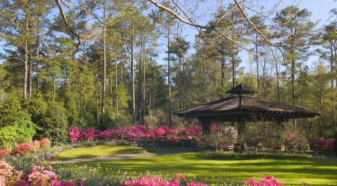 What city is closest to Callaway Gardens? What city is closest to Callaway Gardens?