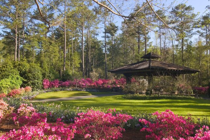 What city is closest to Callaway Gardens?