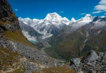 What country has the most bats? What country has the most bats?