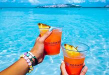 What cruise line does Costco use? What cruise line does Costco use?