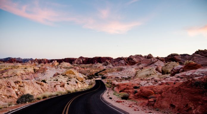 What desert is Las Cruces in? What desert is Las Cruces in?