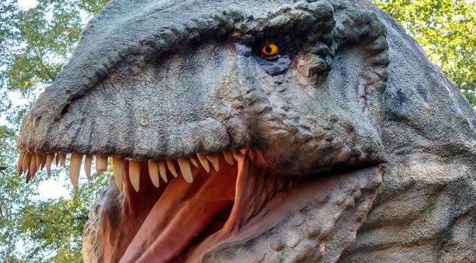 What dinosaurs lived in Connecticut? What dinosaurs lived in Connecticut?