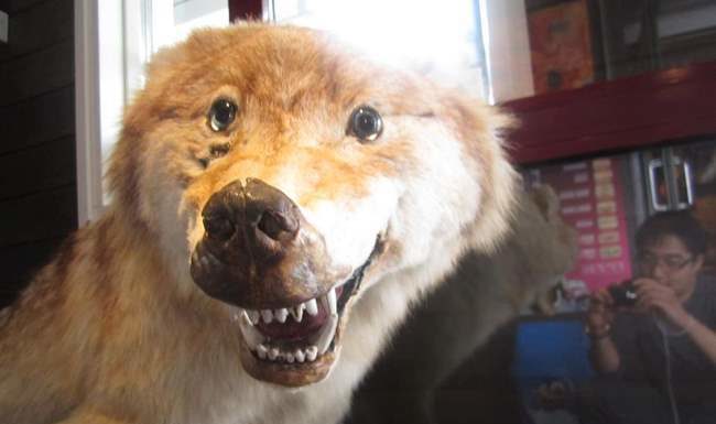 What do you buy a French person? What do you buy a French person?