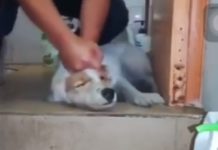 What do you say to invite? What do you say to invite?