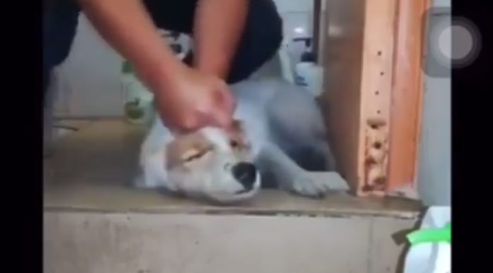 What do you say to invite? What do you say to invite?