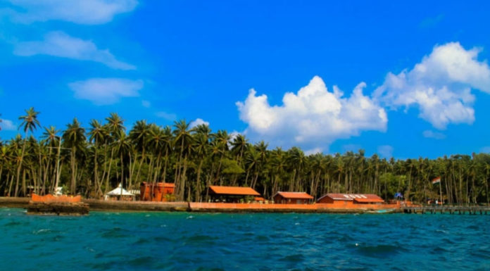 What do you when you visit a city? What do you when you visit a city?