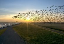 What does +33 mean in France? What does +33 mean in France?