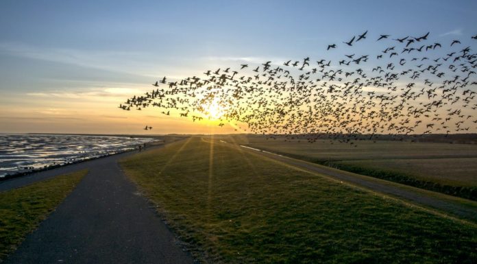 What does +33 mean in France? What does +33 mean in France?