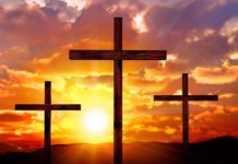 What does Onitsuka mean? What does Onitsuka mean?