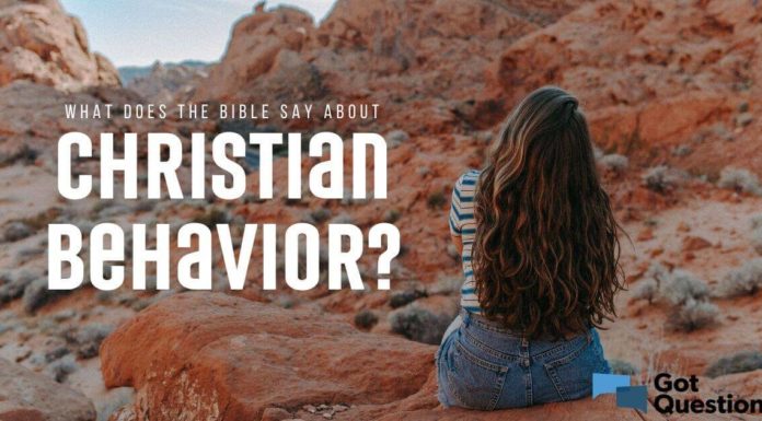 What does a cove look like? What does a cove look like?