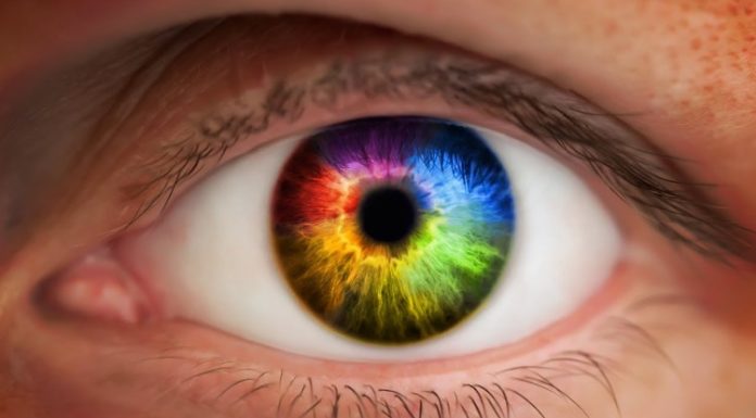 What does a purple light mean in Amsterdam? What does a purple light mean in Amsterdam?