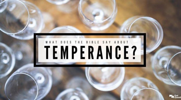 What does the word lobbyists mean? What does the word lobbyists mean?