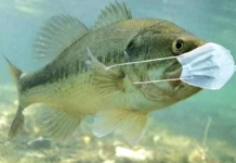 What fish are biting now in Destin Florida? What fish are biting now in Destin Florida?