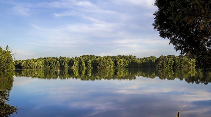 What fish live in the French Broad River? What fish live in the French Broad River?