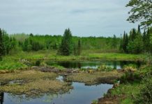 What forms the base of the Beaver Dam? What forms the base of the Beaver Dam?