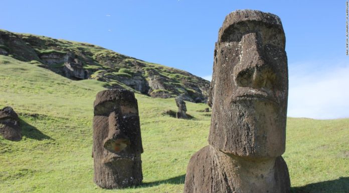 What happened to the animals on Discovery Island? What happened to the animals on Discovery Island?