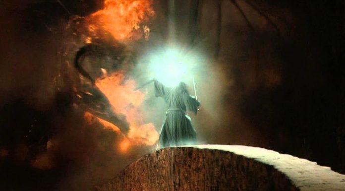 What is Ashoka Fellowship? What is Ashoka Fellowship?