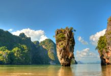 What is Asia’s national food? What is Asia's national food?