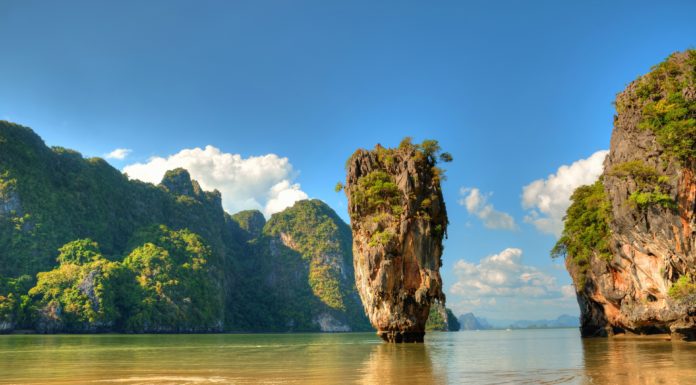 What is Asia’s national food? What is Asia's national food?