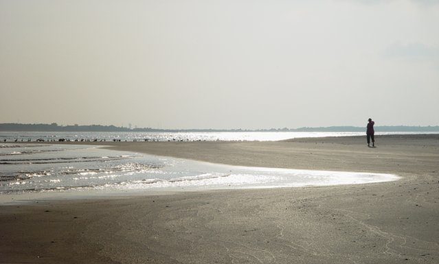 What is Beaufort NC known for? What is Beaufort NC known for?