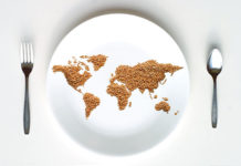 What is GPG import? What is GPG import?