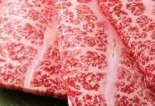 What is Japanese F1 Wagyu? What is Japanese F1 Wagyu?