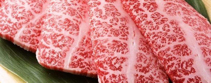 What is Japanese F1 Wagyu?