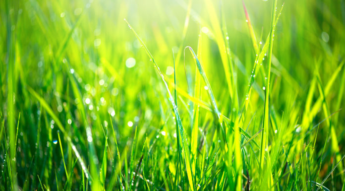 What is New England like in the spring? What is New England like in the spring?