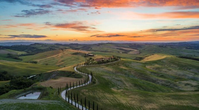 What is a good Tuscany wine? What is a good Tuscany wine?